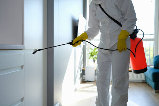 Portage Lakes, OH Mold Removal Company